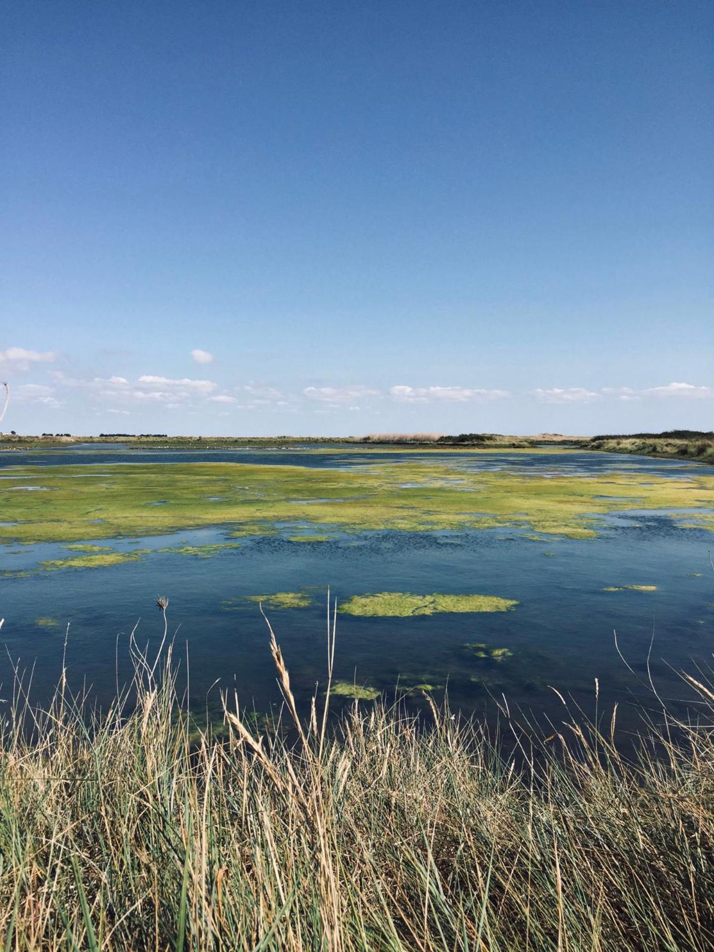 Gîte de caractère à moins de 10min des plages Saint-Michel-en-l'Herm Esterno foto