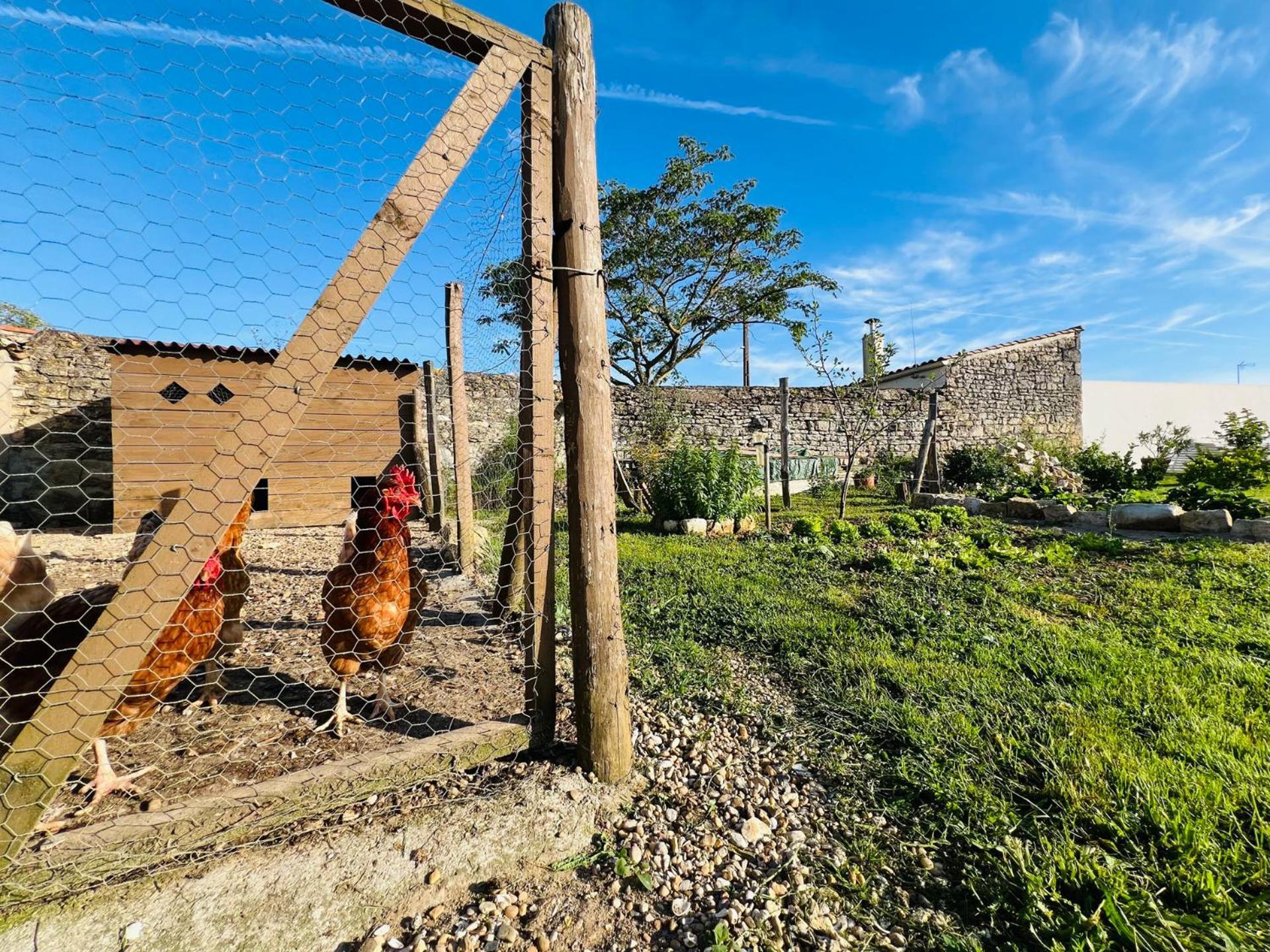 Gîte de caractère à moins de 10min des plages Saint-Michel-en-l'Herm Esterno foto